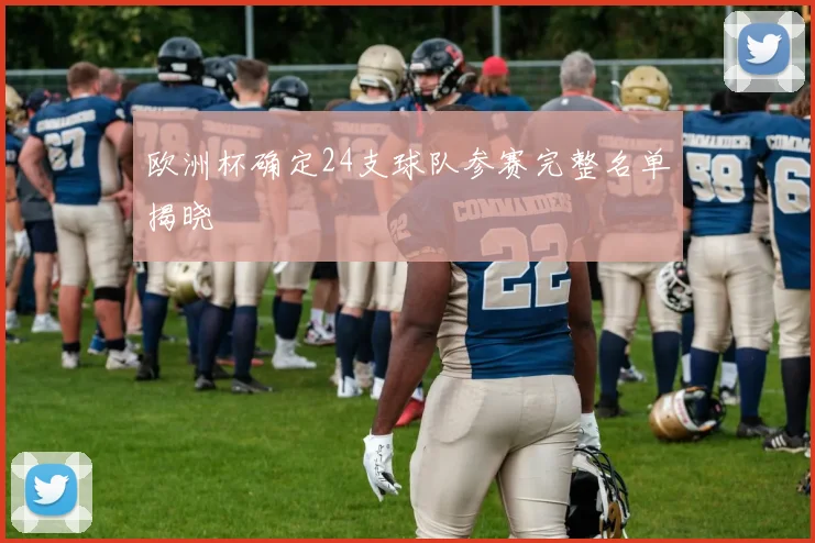 欧洲杯确定24支球队参赛完整名单揭晓