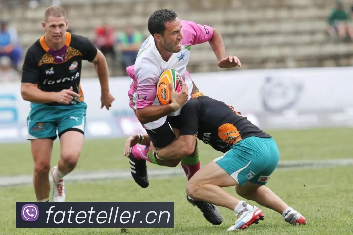 App Interface Preview